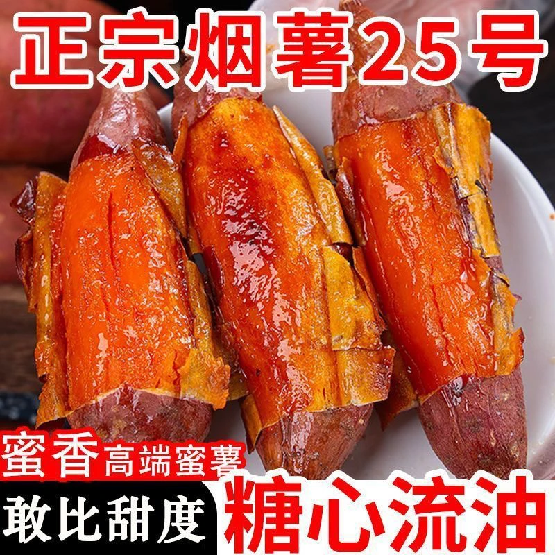 山东烟薯25号红薯新鲜红蜜薯超甜糖心番薯正宗软糯香甜烤地瓜现挖