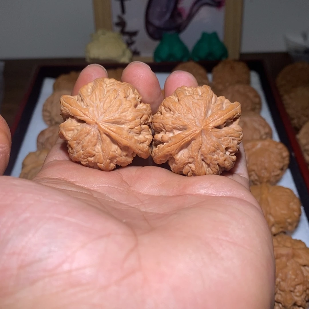 小尺寸粗筋 文玩核桃