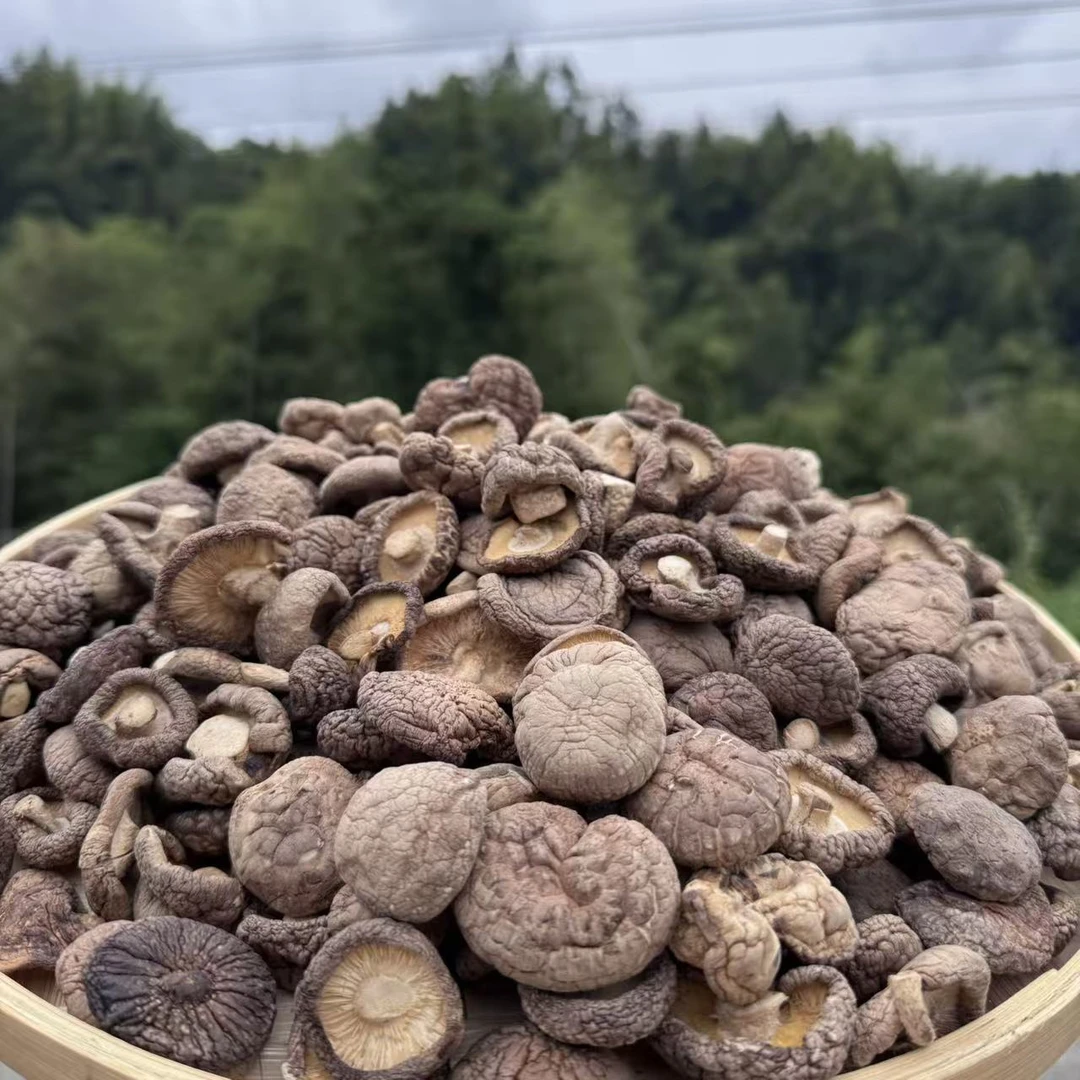 老乡自采干货椴木小香菇250g