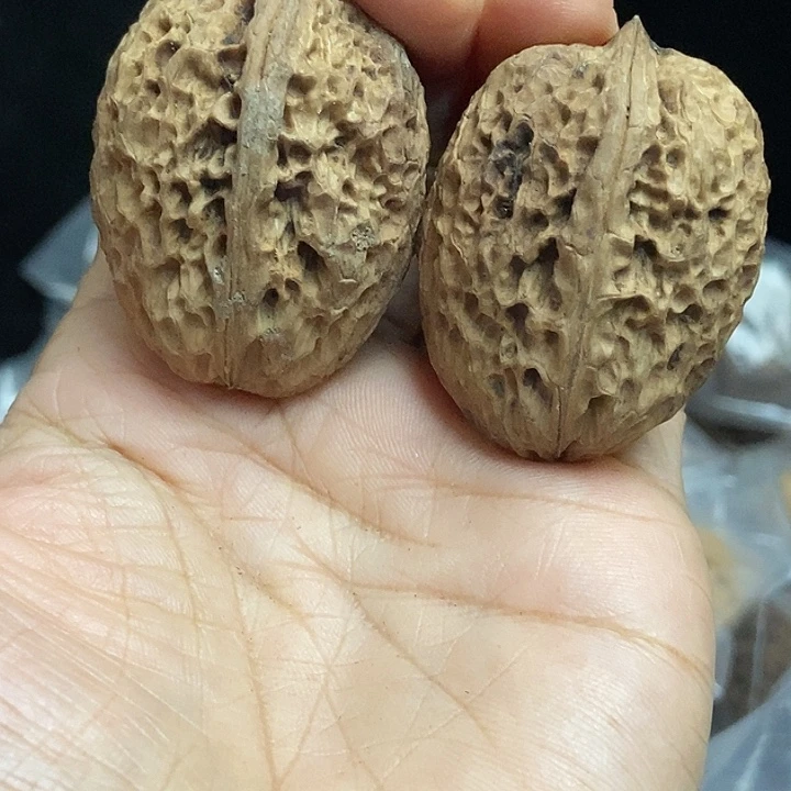 文玩核桃把件云南铁核桃基地88