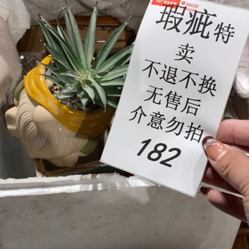 【闪购商品】摆件章***鸽陶瓷摆件瑕疵特卖