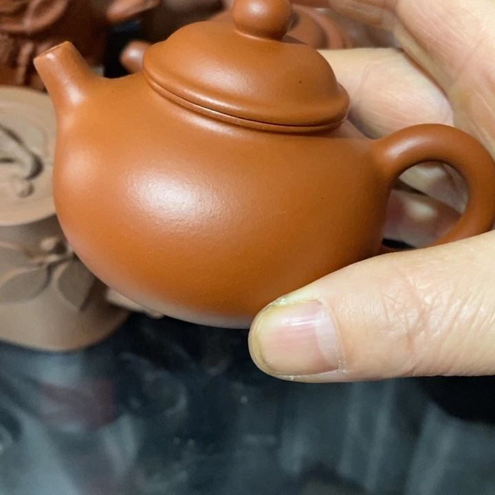 紫砂茶壶咻紫藤树上挂满的是