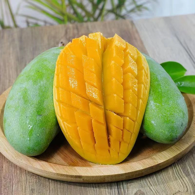 【舒婷专属】攀枝花金煌芒净重5斤大果现摘现发肉厚多汁多仓发货