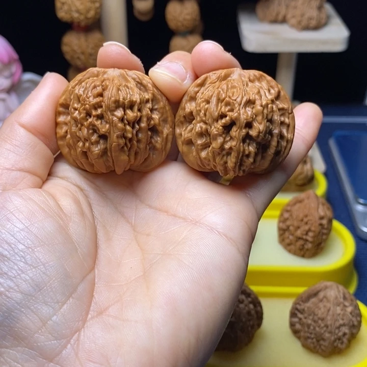 核桃40全品楼子 17号车