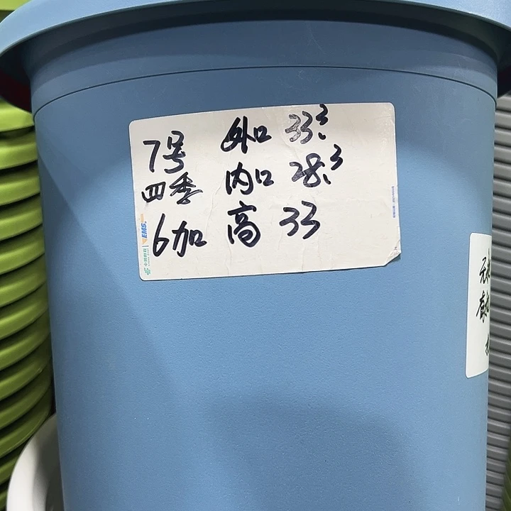 特价7四季口33高33雾霾蓝无托6只