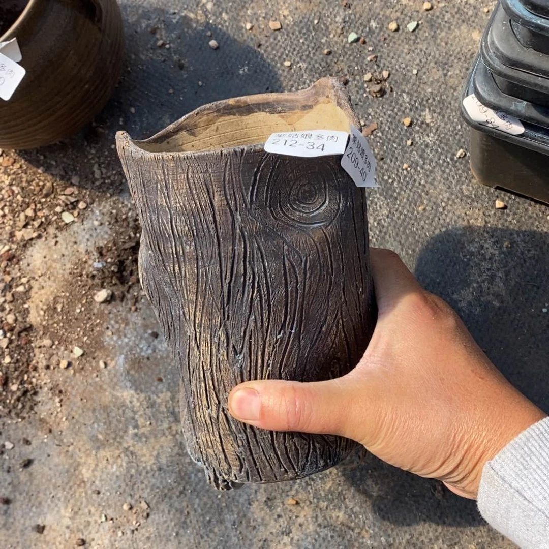 小***点34号多肉盆一个呀