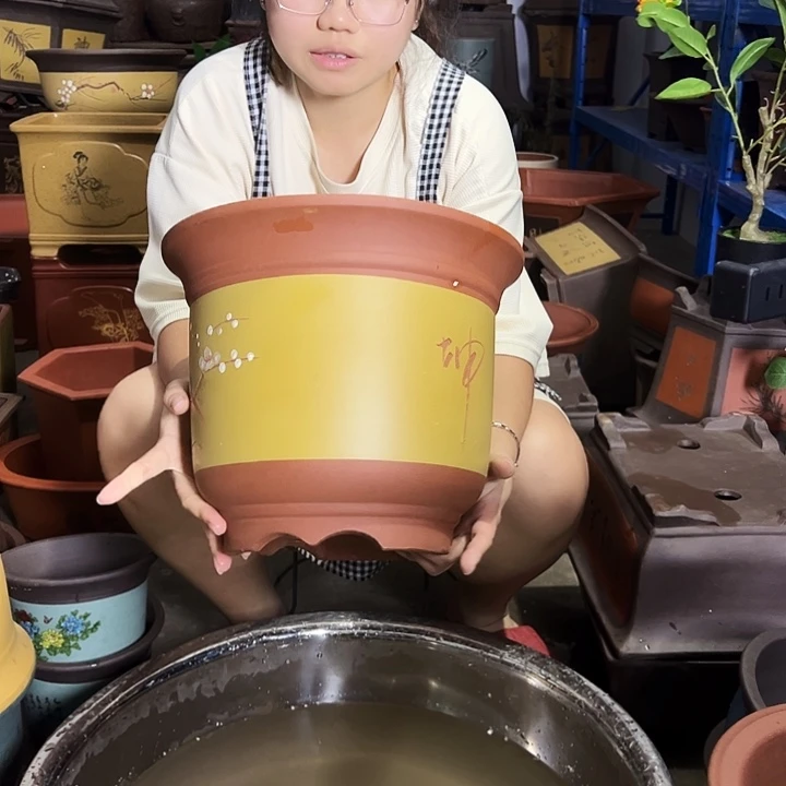 宜兴紫砂花盆黄点菜金钟大