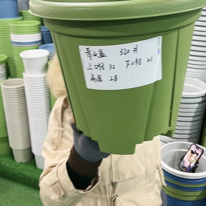 特价青山口32高28果绿无托5只