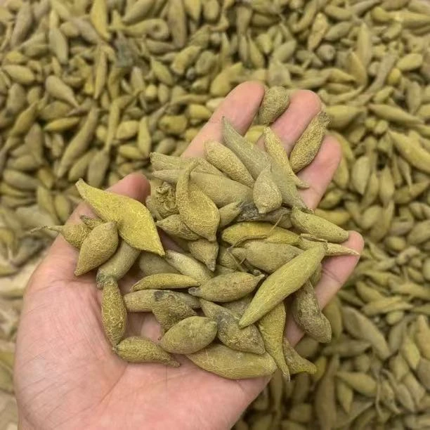 现收山货  金灵果  高山特产