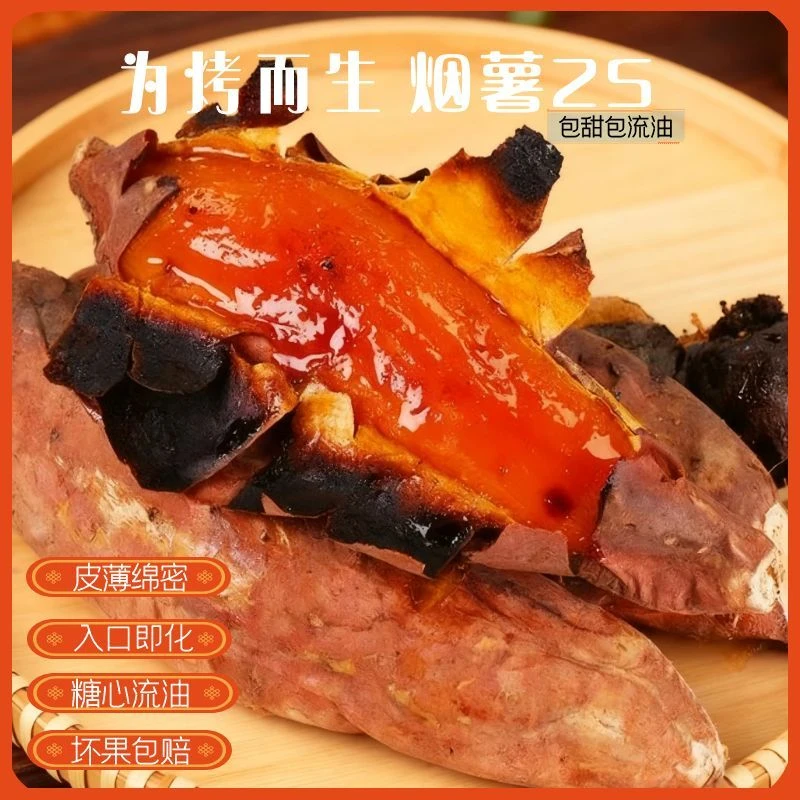 山东烟薯25号烤红薯入口即化烤地瓜稀软蜜甜正宗沙地蜜薯黄心木薯
