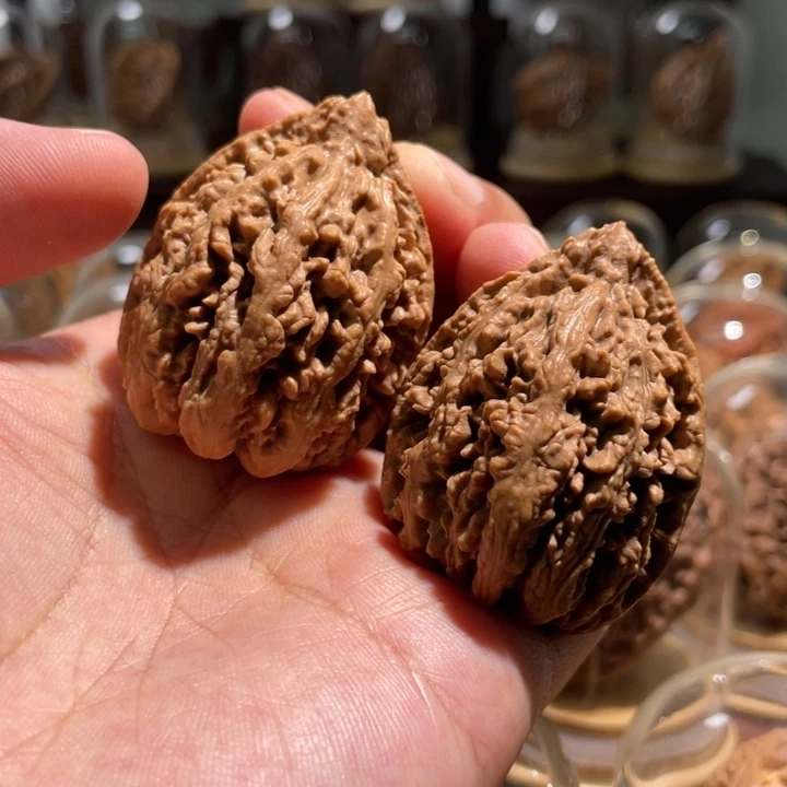 文玩核桃把件豆粒塔树头