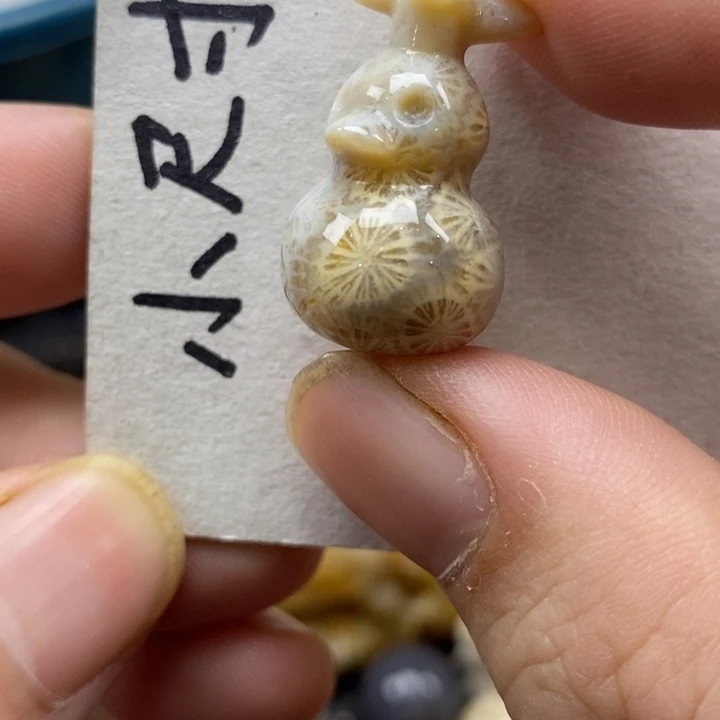 颈饰未镶嵌硅化珊瑚（珊瑚玉）