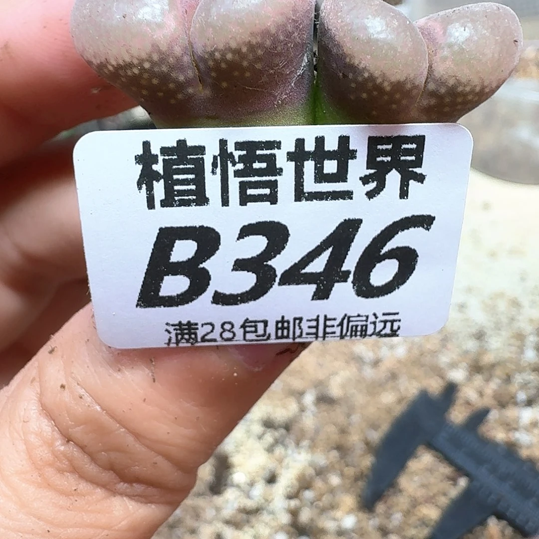 的润泽的润泽之f