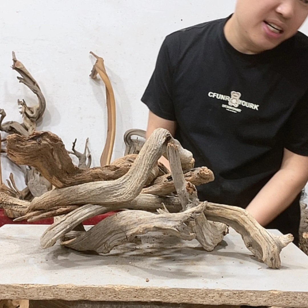 【闪购商品】柏木亮*我们都是好孩子