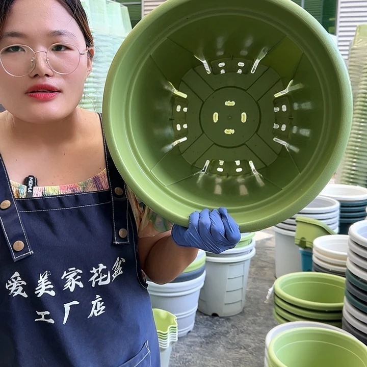 青山盆7#果绿色5个无托