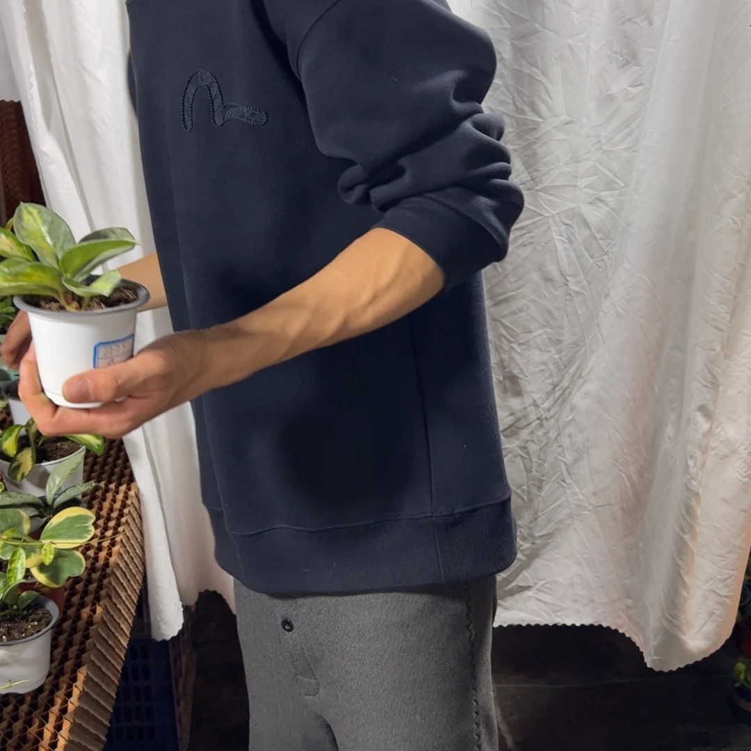 程***秀无花朵阿根廷公主