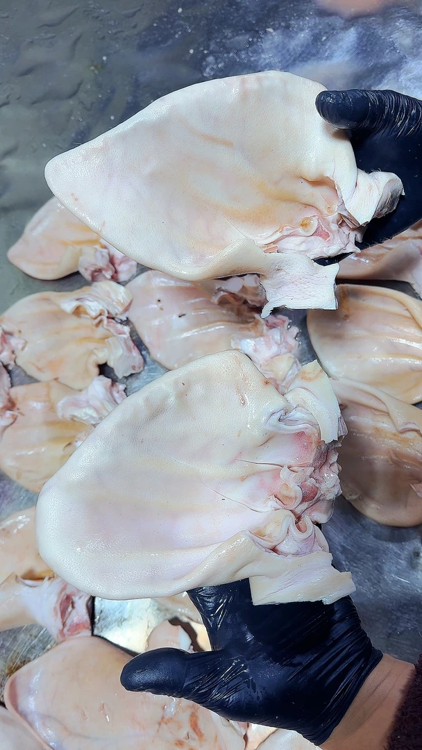 猪耳朵纯干货20斤一件