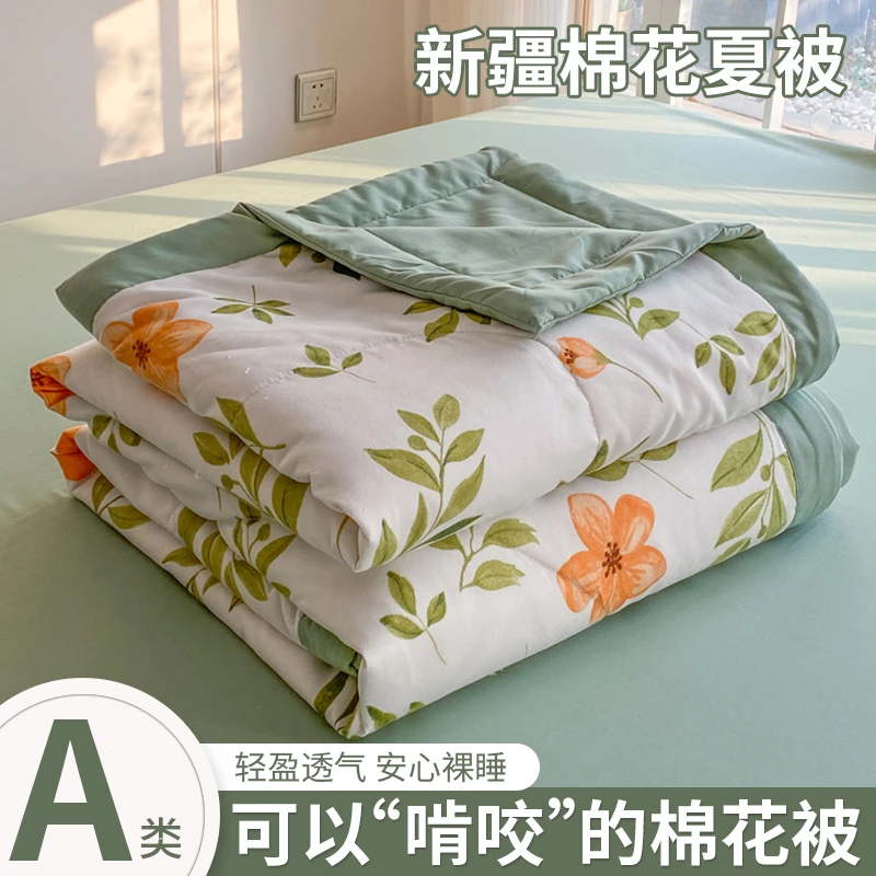 V/雅鹿新疆棉被棉花被夏被单人夏凉被子被芯儿童被学生宿舍空调被