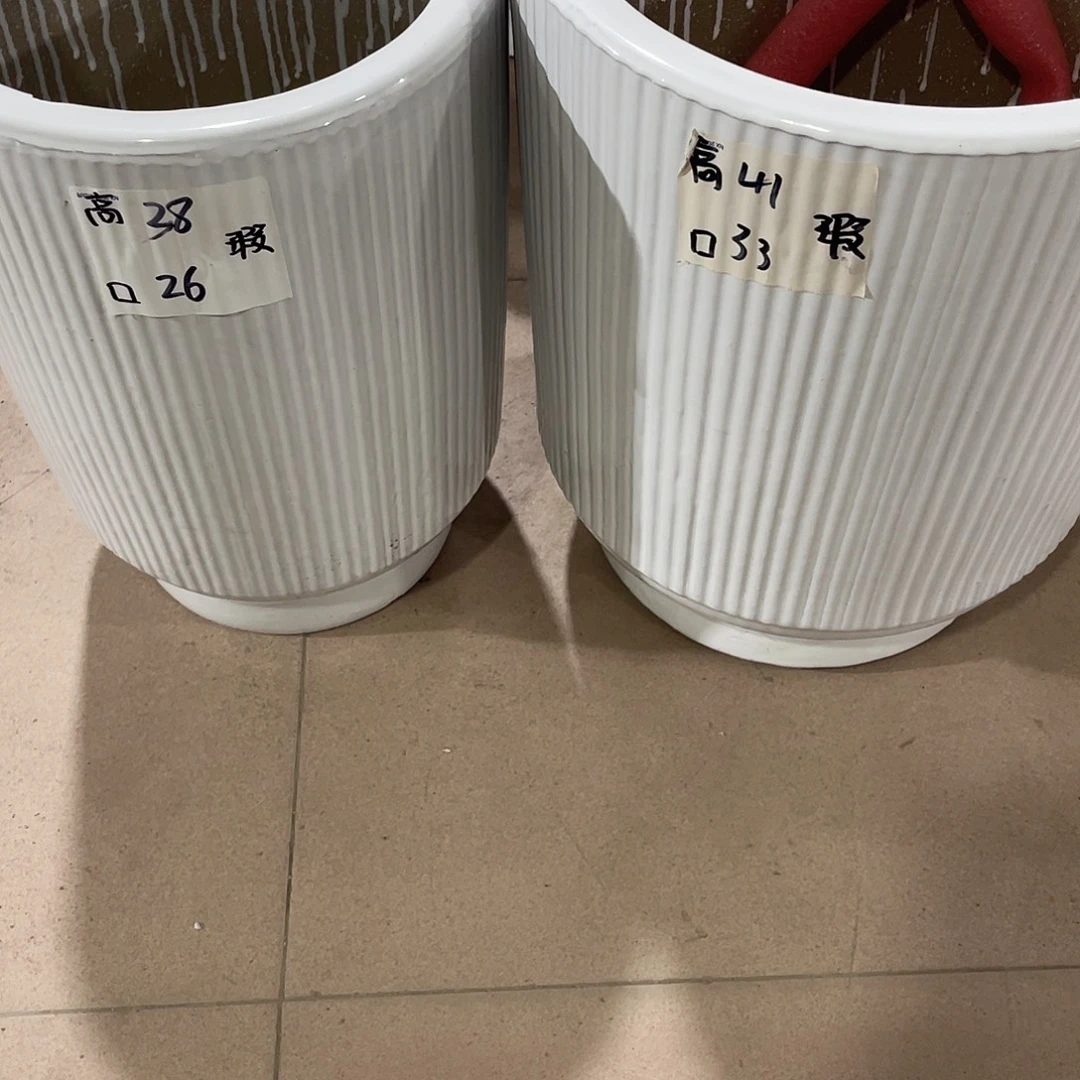 白竖纹二大二中搭配托盘微瑕