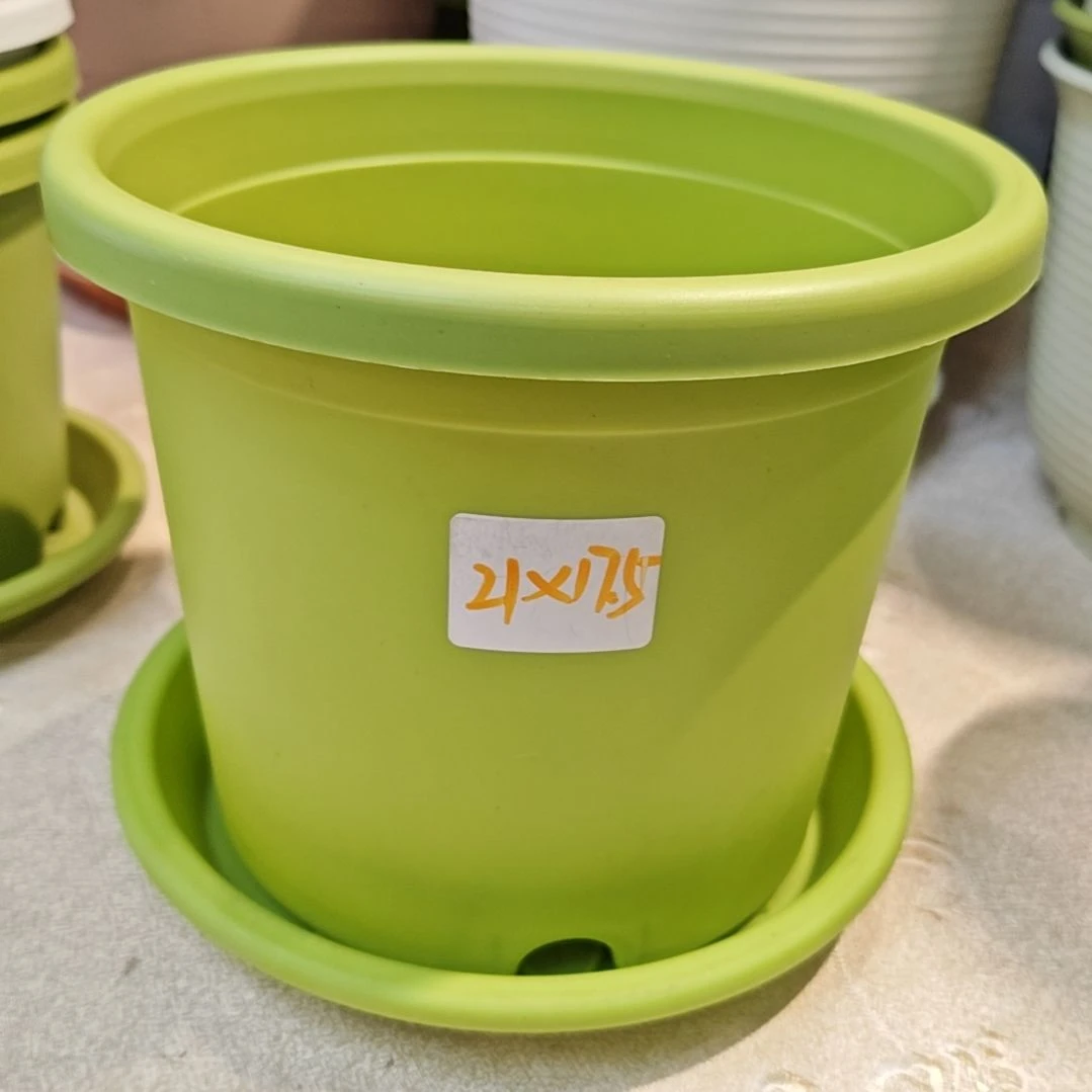 树脂四季盆外口径21，果绿带托10个