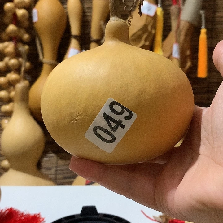 49号天然葫芦天然葫芦