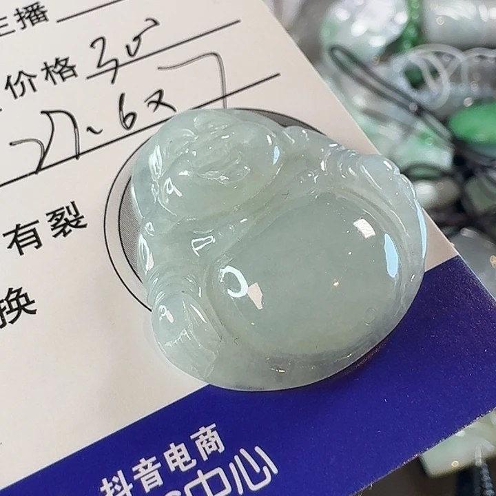 藏***匿翡翠未镶嵌颈饰颈饰