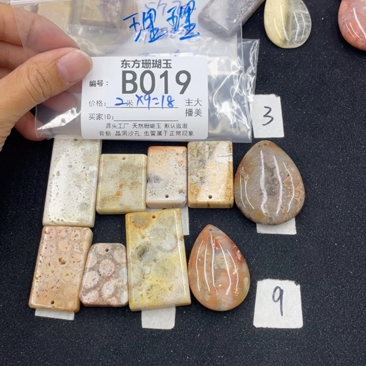 硅化珊瑚（珊瑚玉）颈饰合金L***理