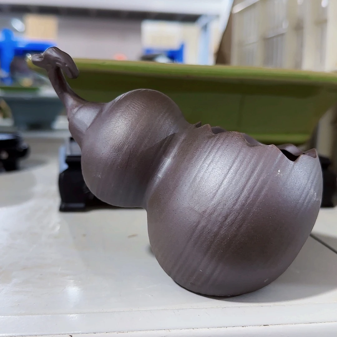 陶瓷花盆特价上新