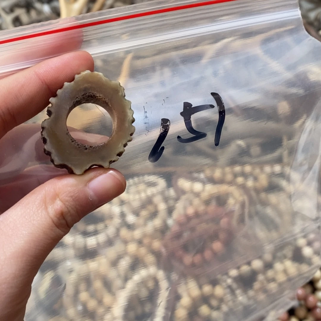 非金属鹿角鹿角鹿角