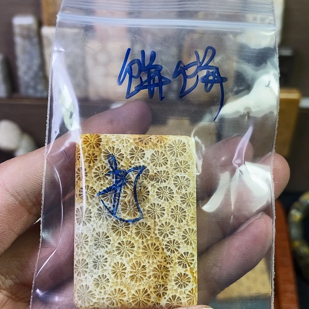 硅化珊瑚（珊瑚玉）吊坠未镶嵌饼***r
