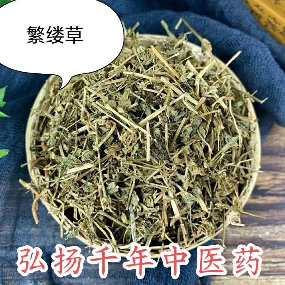 繁缕草 繁缕茶新鲜干货中药材鹅肠菜去女性湿茶包邮