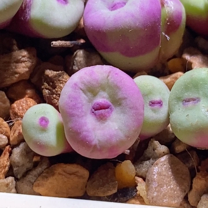 好看好看好看1380b