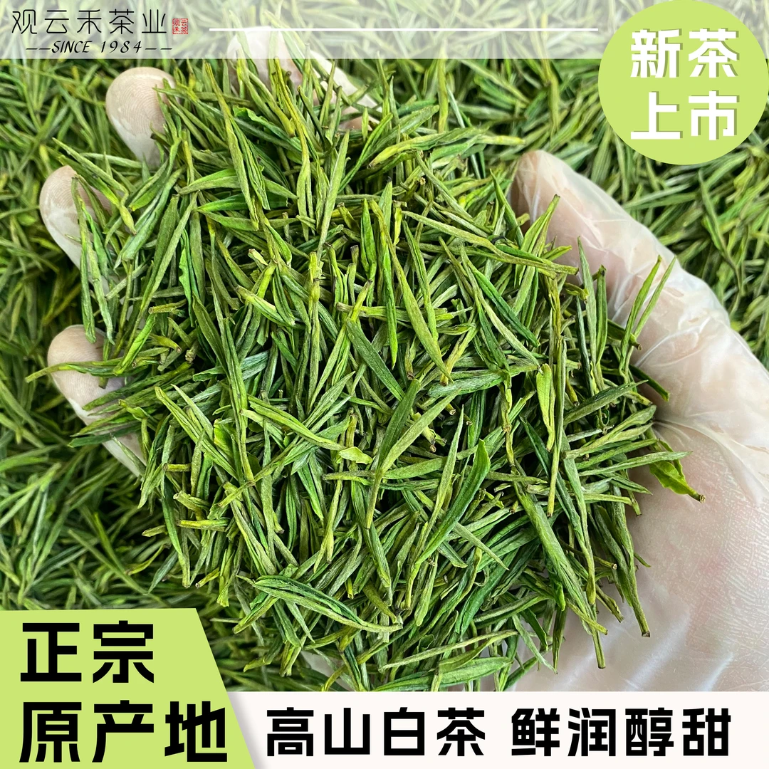 【A20】25年新茶兰香高山白茶安吉原产地高山白茶醇厚甘甜茶叶白茶