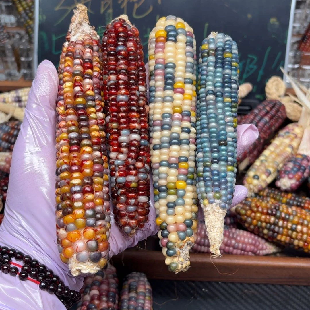 柏香籽/百香籽吊坠1****6