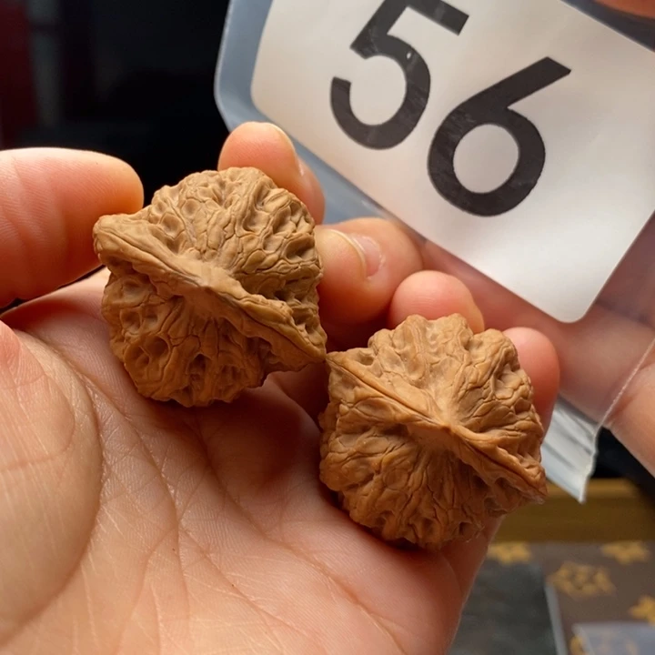 核桃56号，全品佛肚