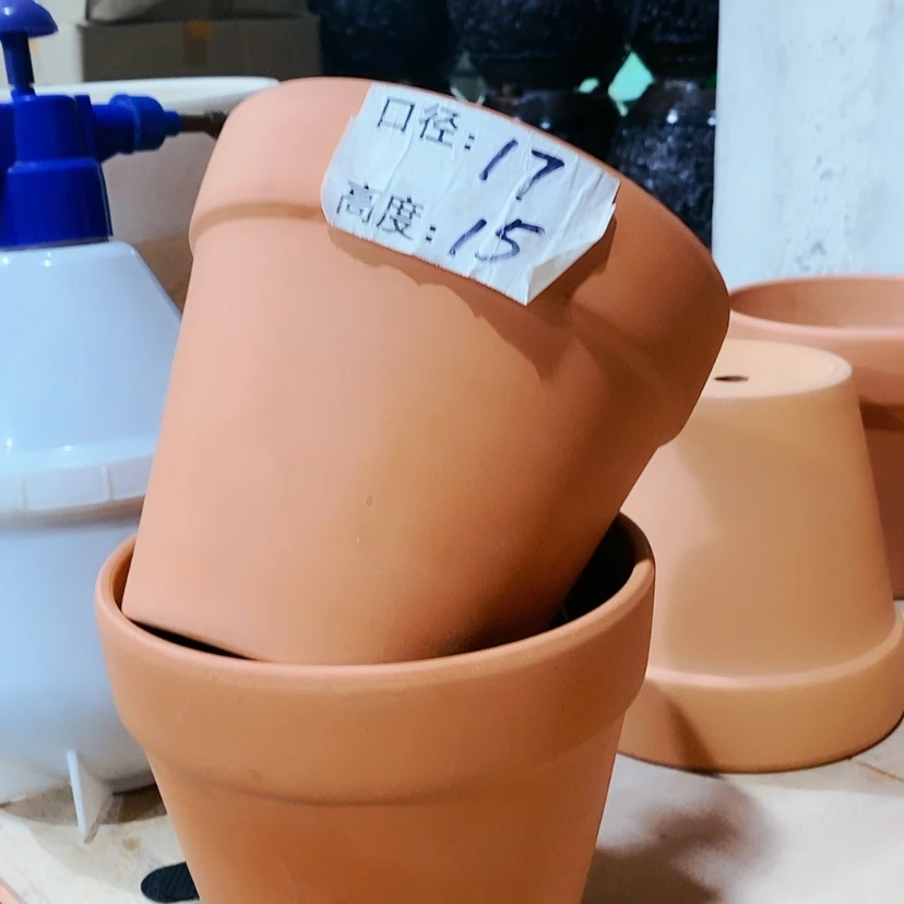 【闪购商品】红陶红陶1-17x15