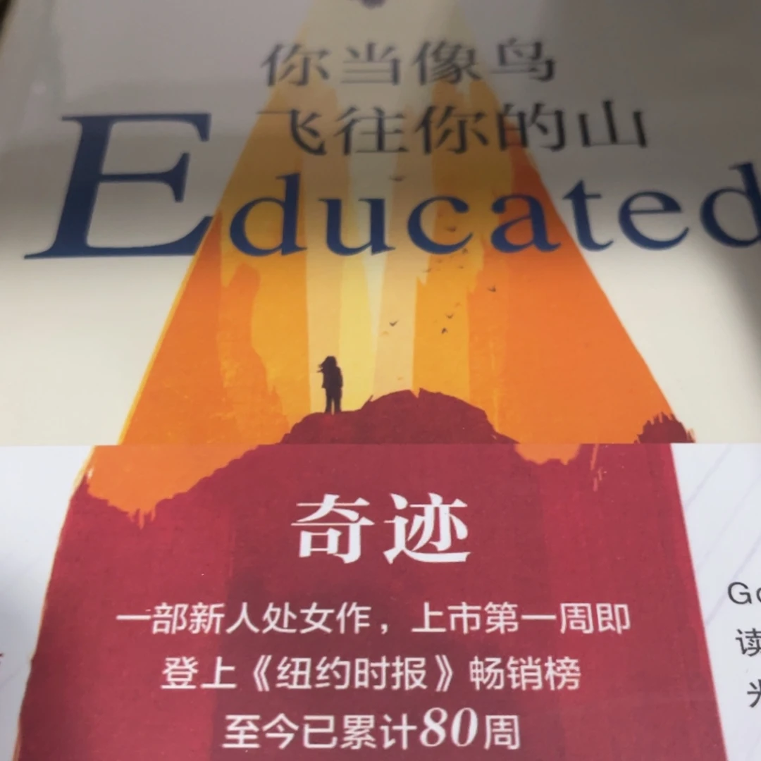 你当像鸟飞往你的山精装