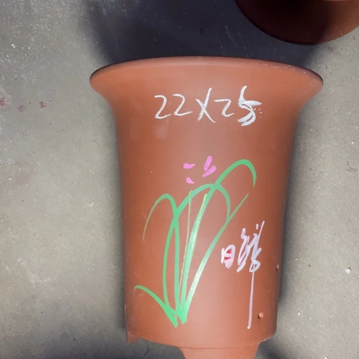 周深周深周深周深周深
