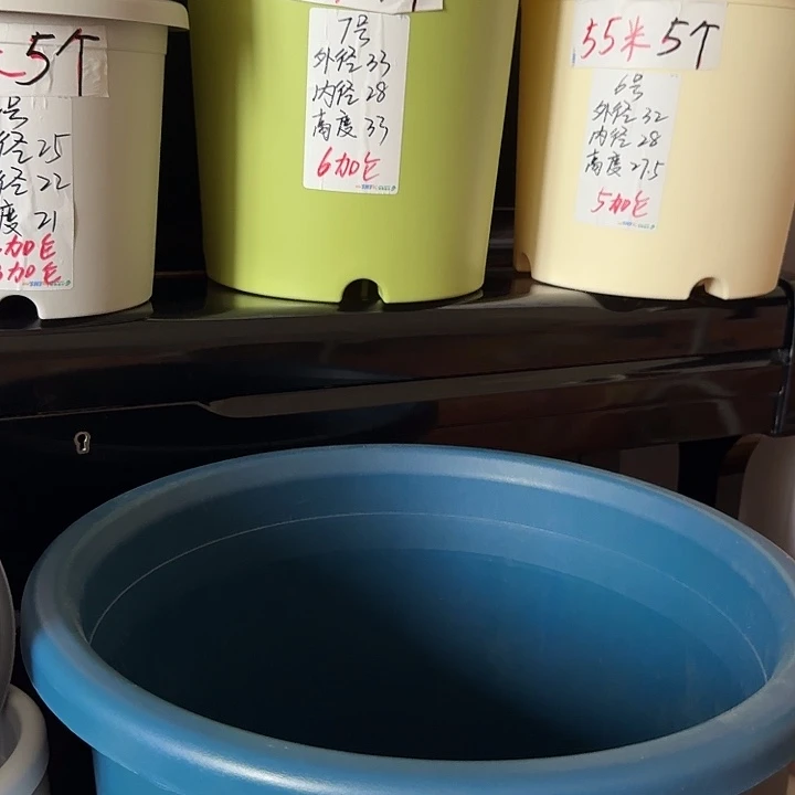 新绿色微瑕7号无托10个