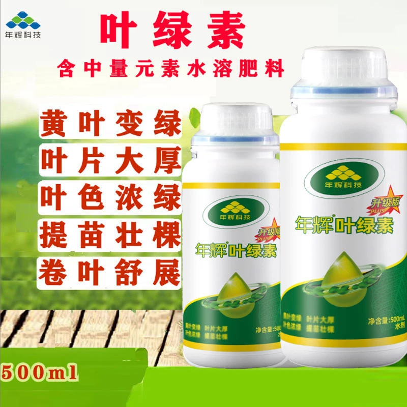 叶绿素年辉黄叶变绿叶片大厚提苗壮棵叶面肥