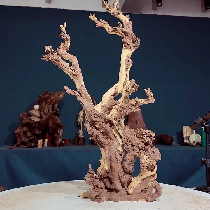 黑果木许*348金丝红木羊蹄甲半成品