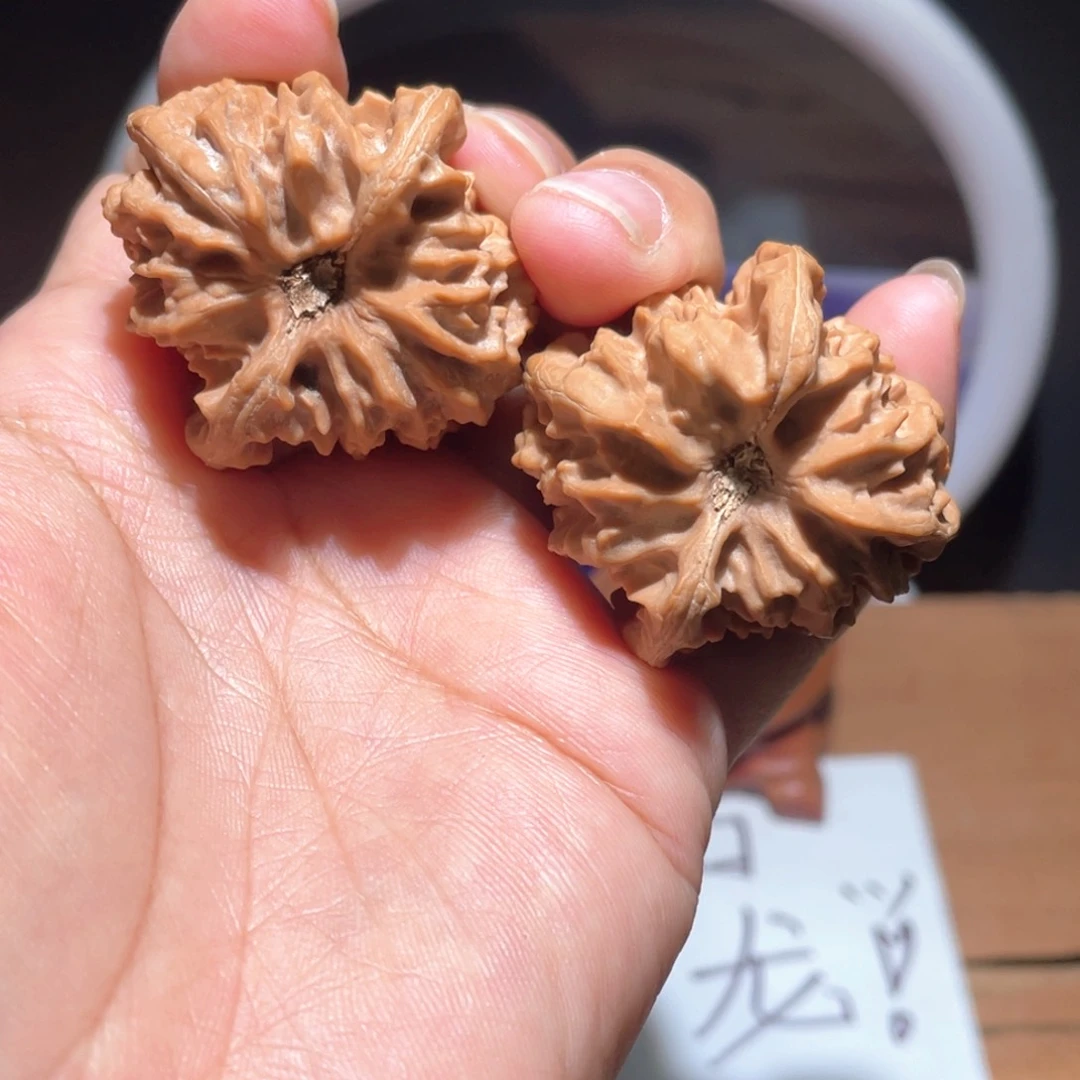 偏*S065 37尺 大龙