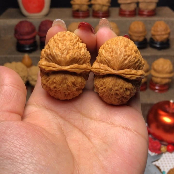 文玩核桃把件35食蚁兽