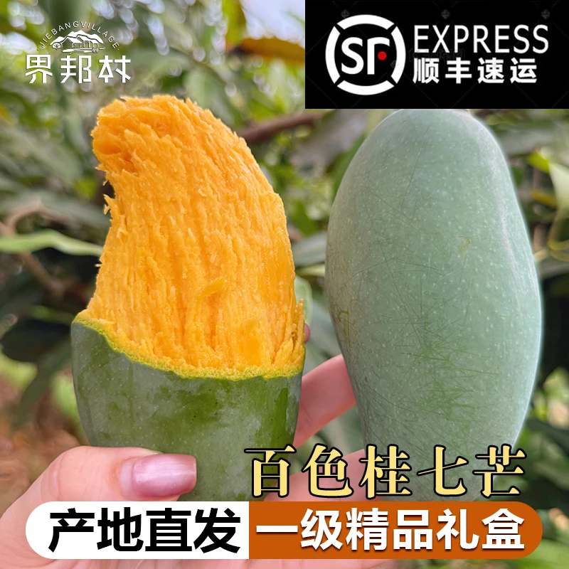 【够老够甜】广西百色桂七芒果新鲜采摘香甜多汁大果送礼礼盒包邮