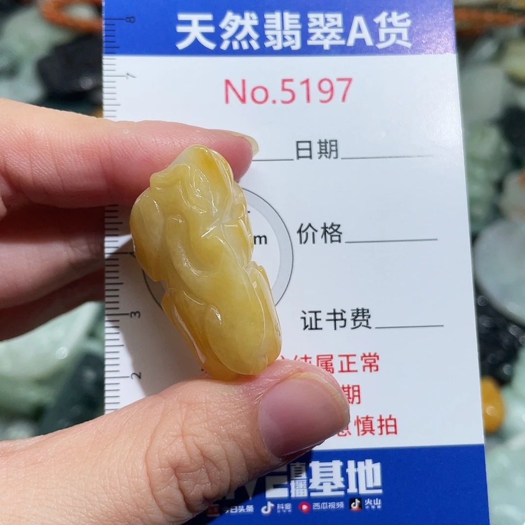 翡翠未镶嵌挂件5197