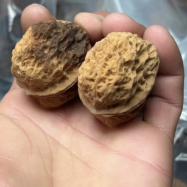 文玩核桃把件4号文太蛤蟆40尺