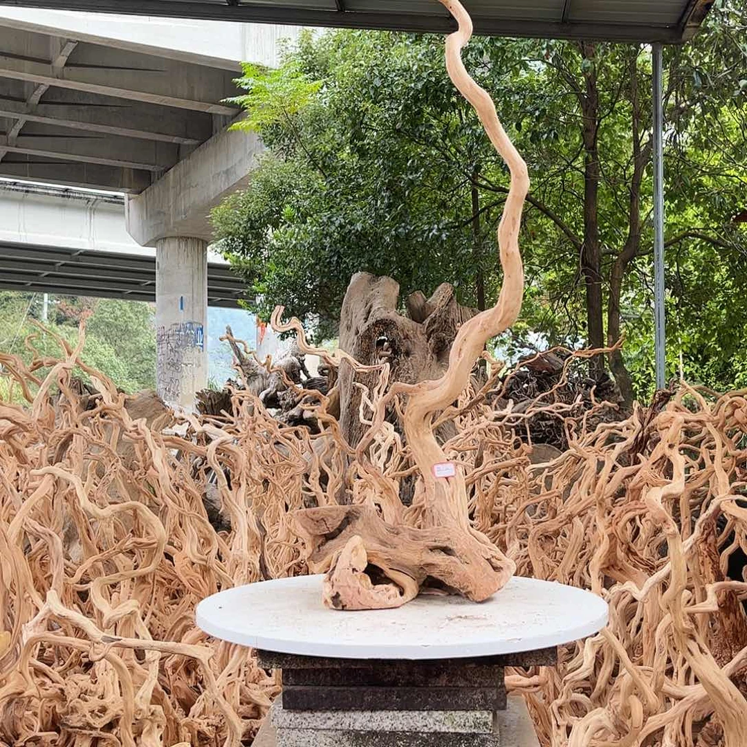 青***生木你在哪一个月的时候就