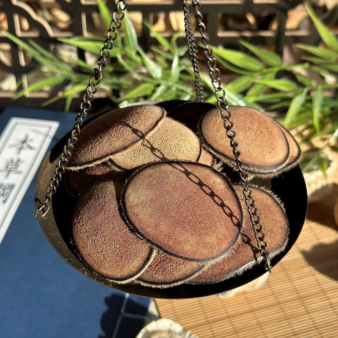 吉林鹿乡新鲜鹿茸