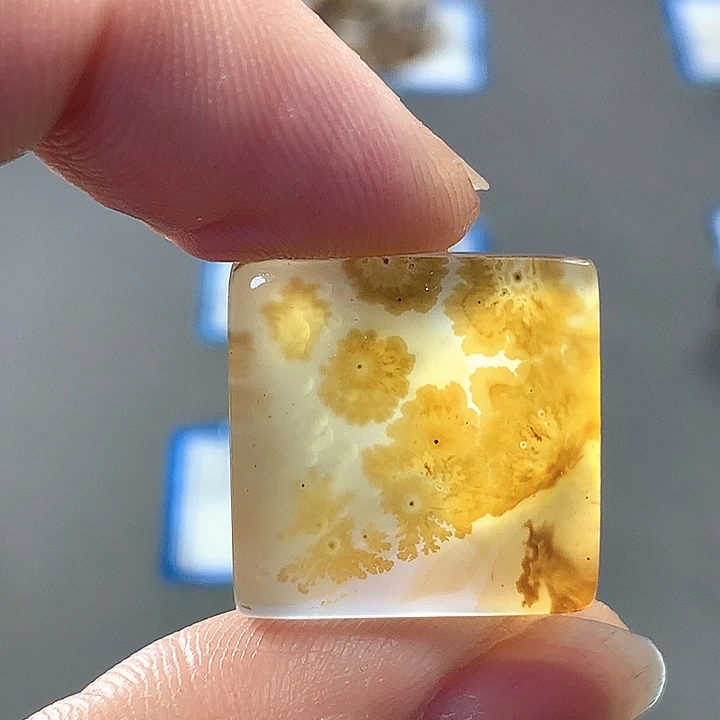 未镶嵌颈饰玛瑙/玉髓