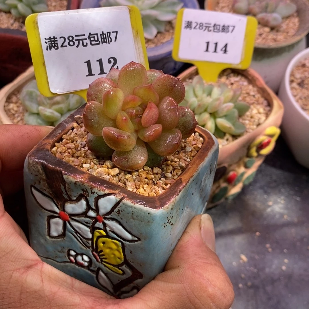 7112红恋石化拉丝单头……